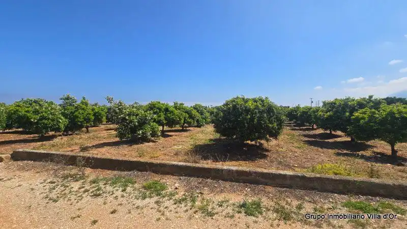 Maison avec jardin à vendre à Las Marinas / Les Marines, imagen 25