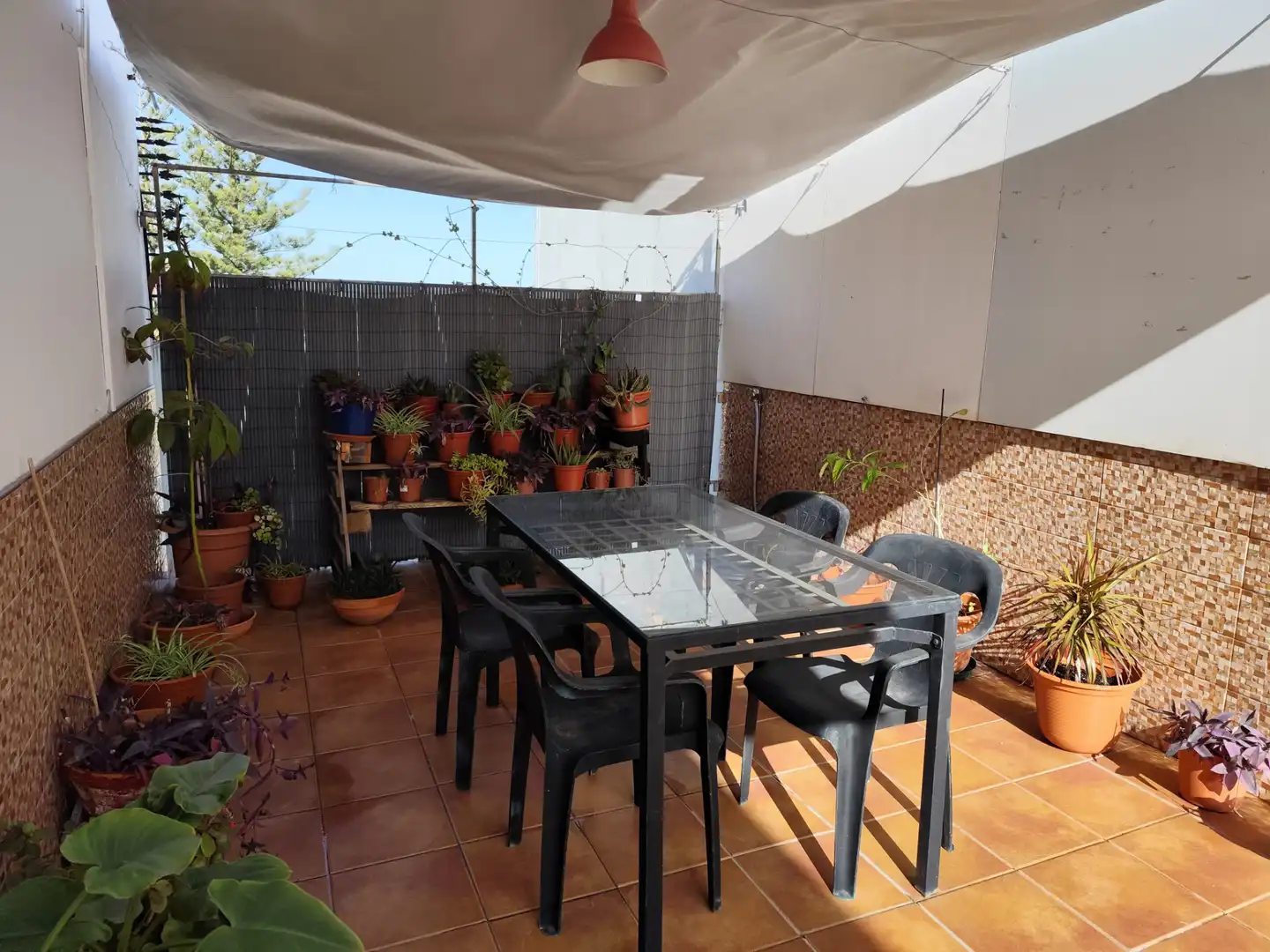 Casa o chalet de alquiler en Calle Guadiaro, 1, Las Palmeras - Dehesilla