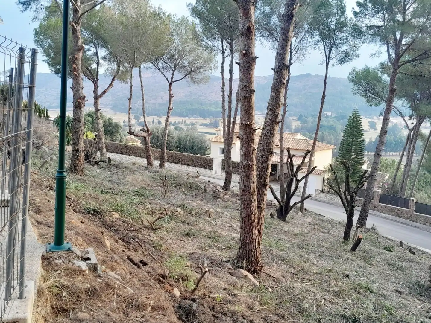 Terrenys i solars en venda a Pedreguer, imagen 4