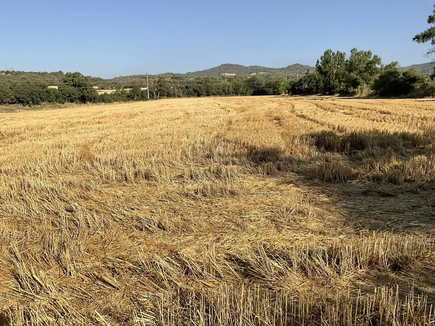 Terreni e lotti in vendita a El Grado