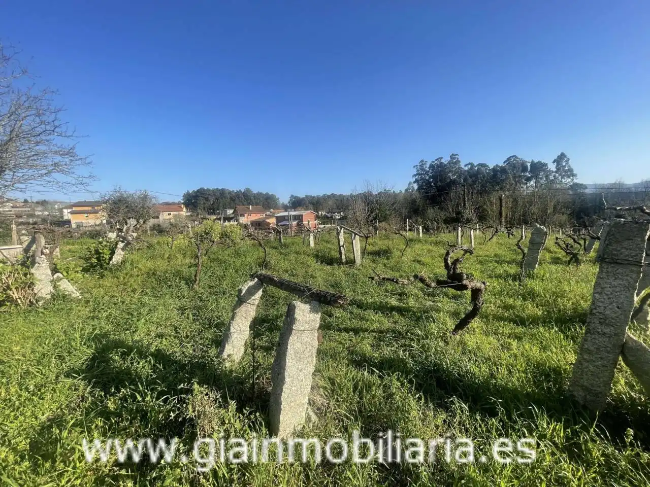 Casa con jardín en venta en Calle Xestal, imagen 38