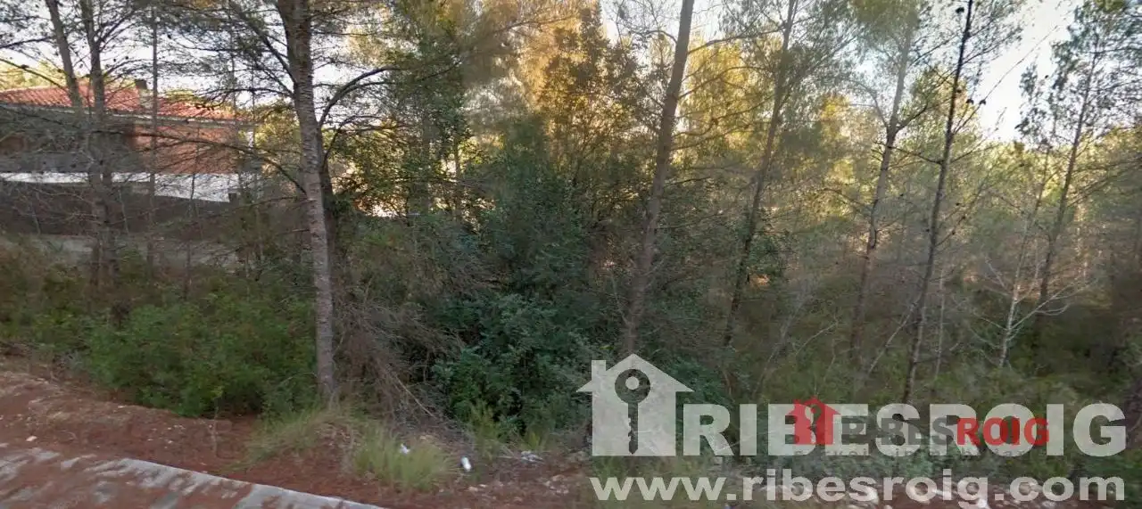 Terrain rustique à vendre à Olivella