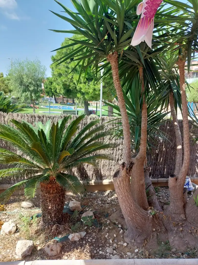 Pis amb piscina en venda a Les Salines - Pla de Sant Pere, imagen 7