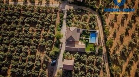 Finca en el término Los LLanos  en Moraleda de Zafayona a 20 minutos de Granada Capital, imatge 4