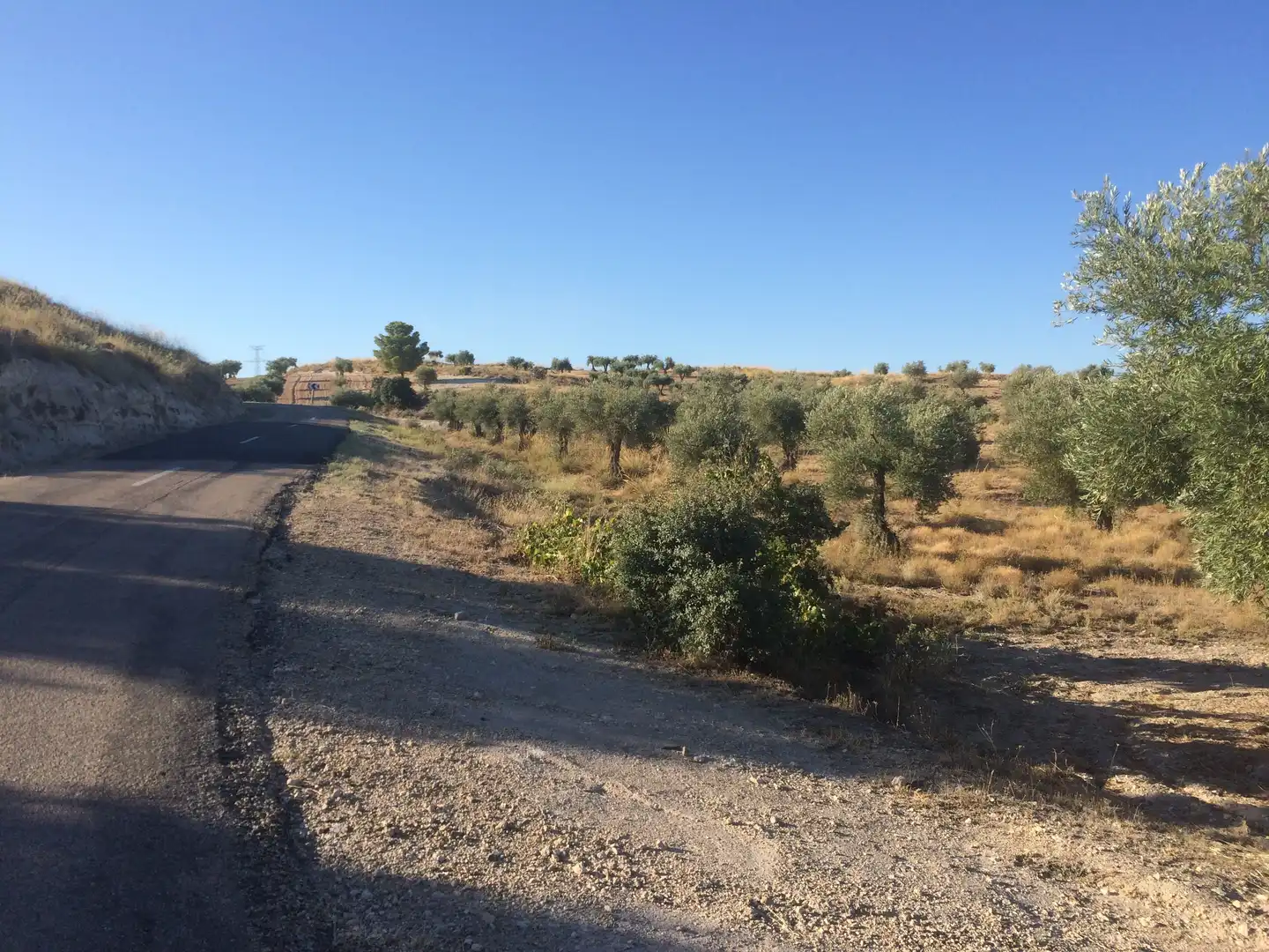 Rural land for sale in M-315 4b, imagen 6
