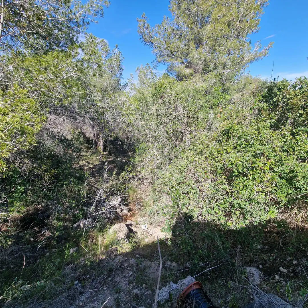 Terreno residencial en venta en Carrer Gessamí 18, imagen 37