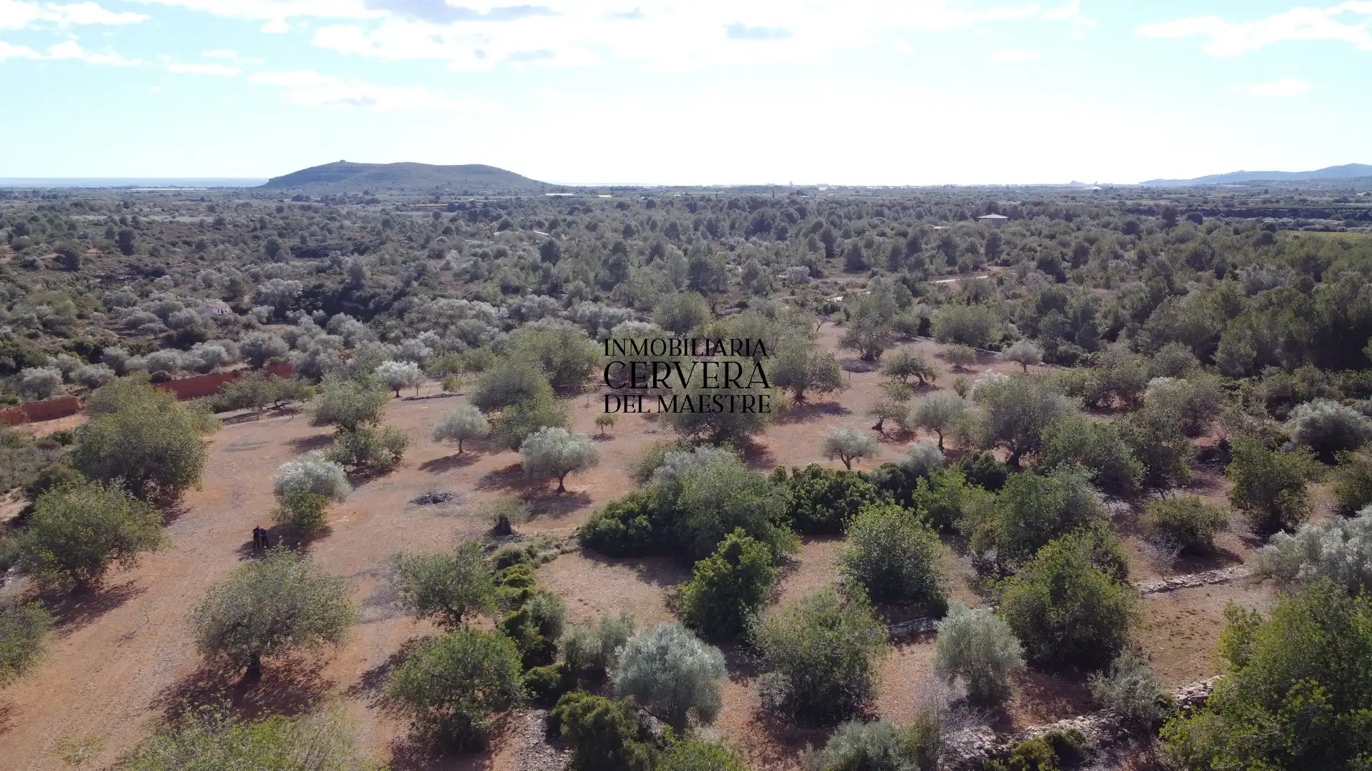 Terreno rustico in vendita a Partidas de interior - Zona Rústica, imagen 41