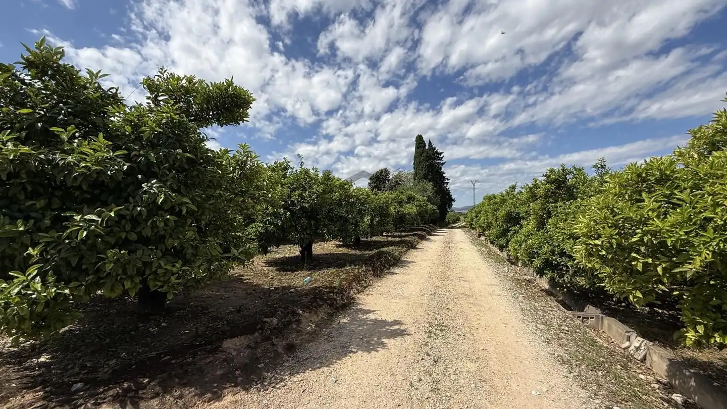 Terrain rustique à vendre à La Pobla Llarga, imagen 6