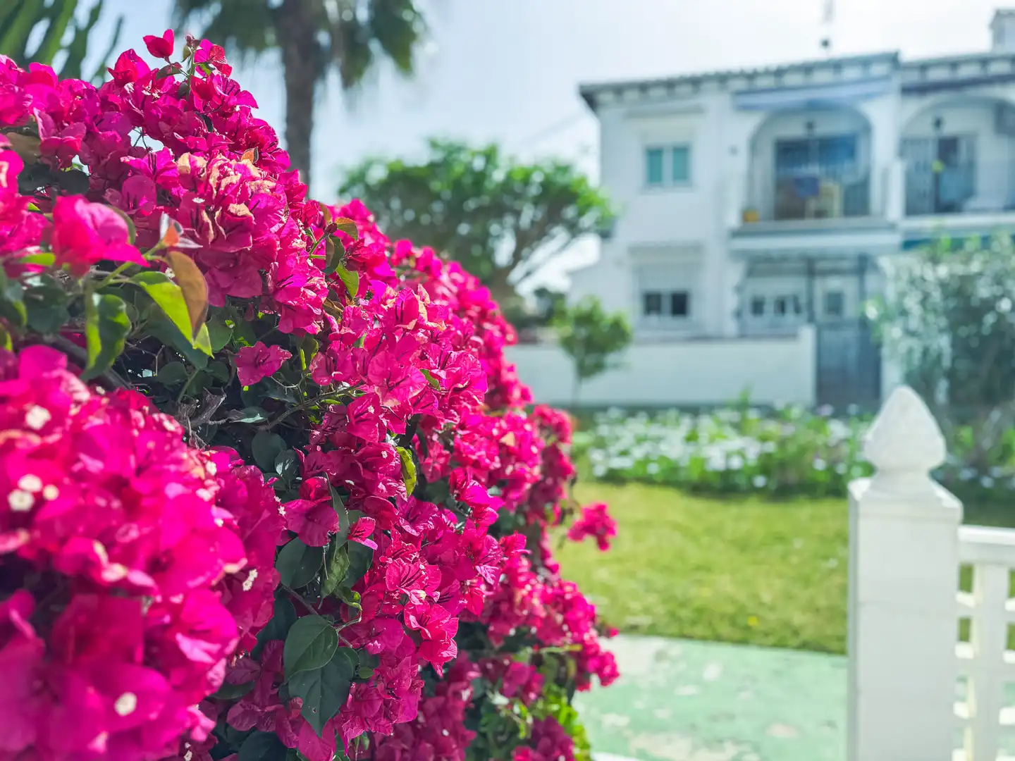 Jardín de Casa o chalet en venta en Torrevieja con Calefacción, Piscina y Piscina comunitaria