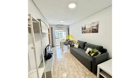 Photo 4 of Apartment to rent in Parque de las Naciones, Alicante