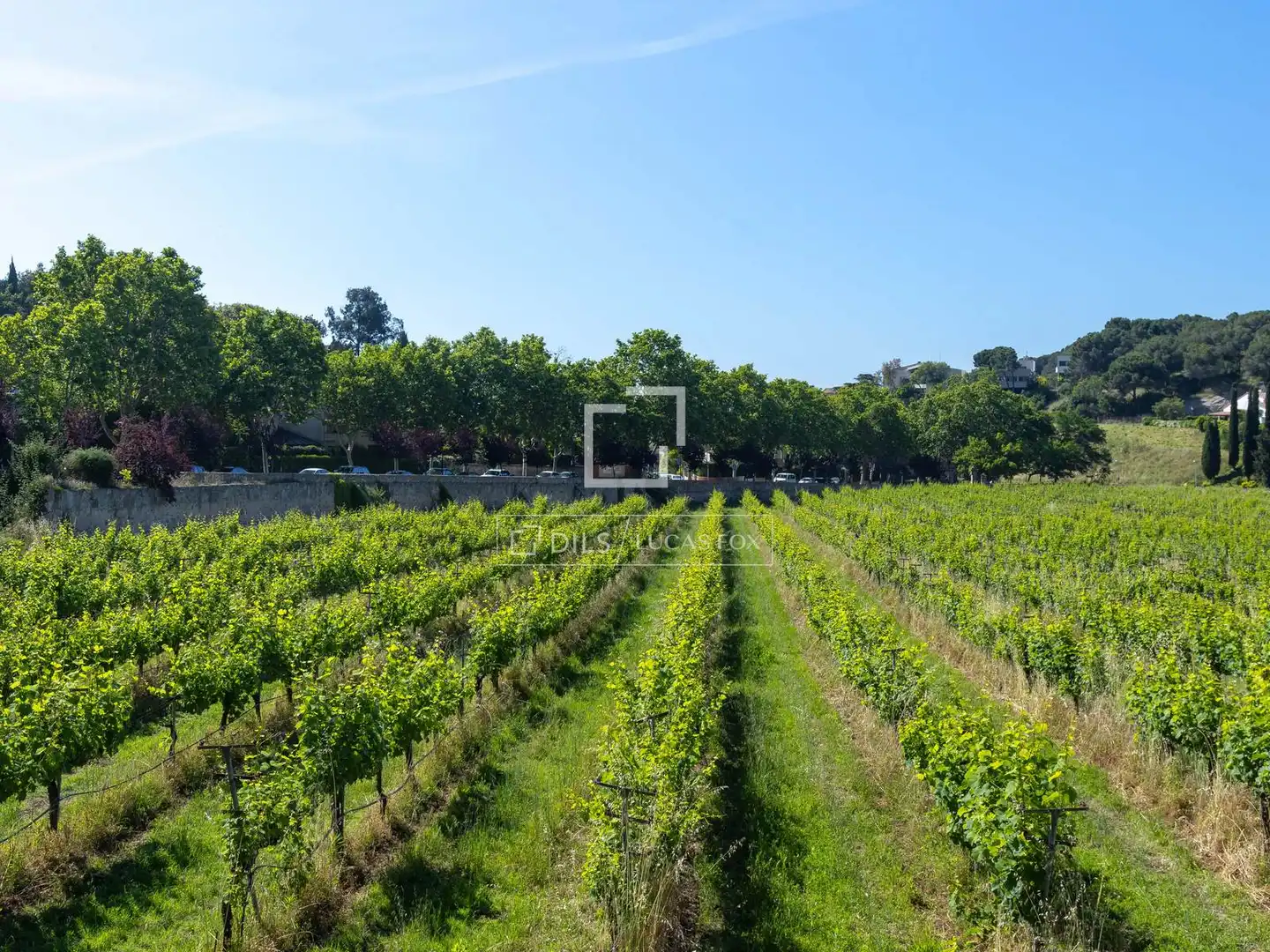 Finca rústica en venda en Alella amb Jardí privat, Terrassa i Traster