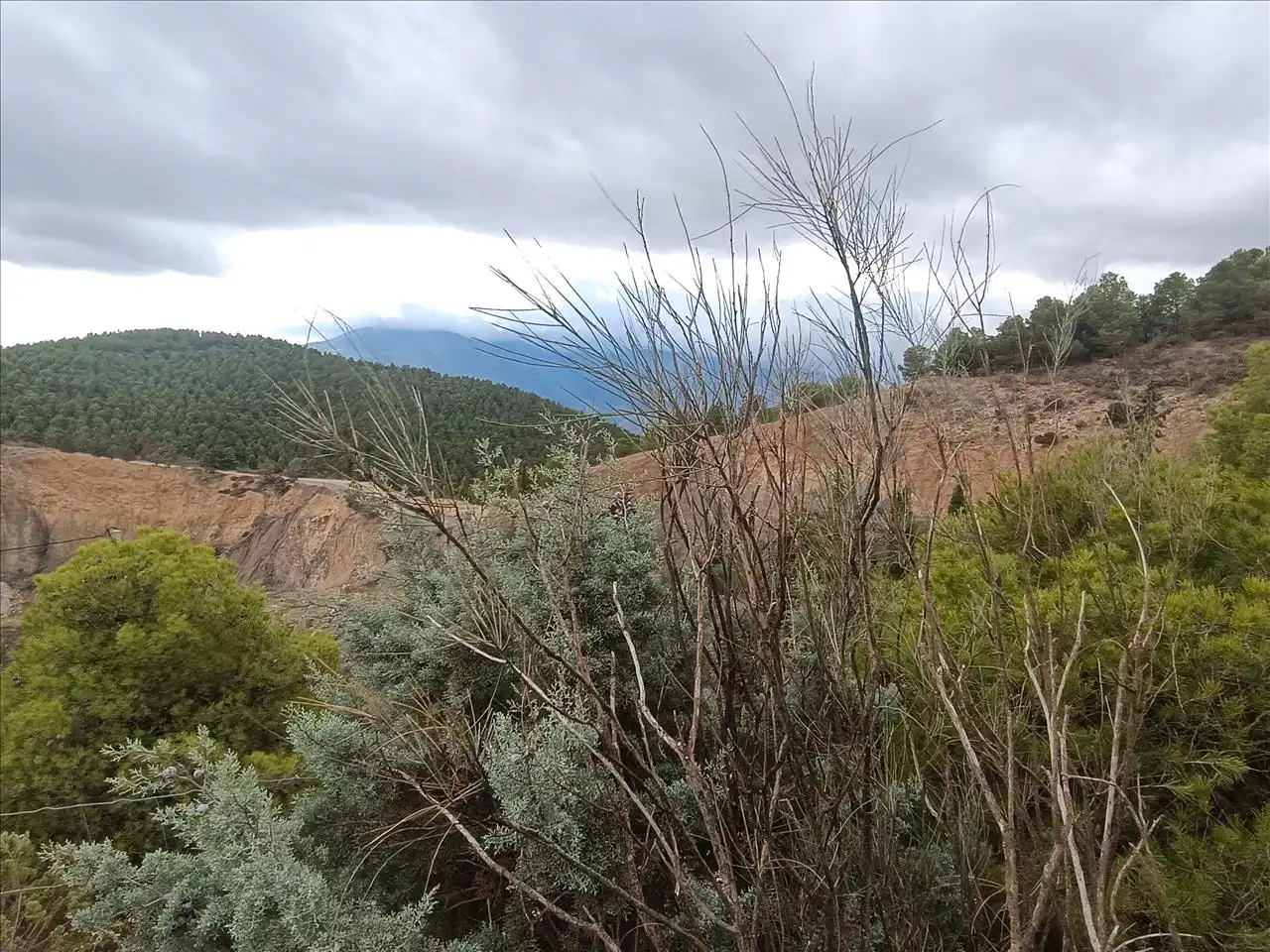 Terreno en venta en Carataunas
