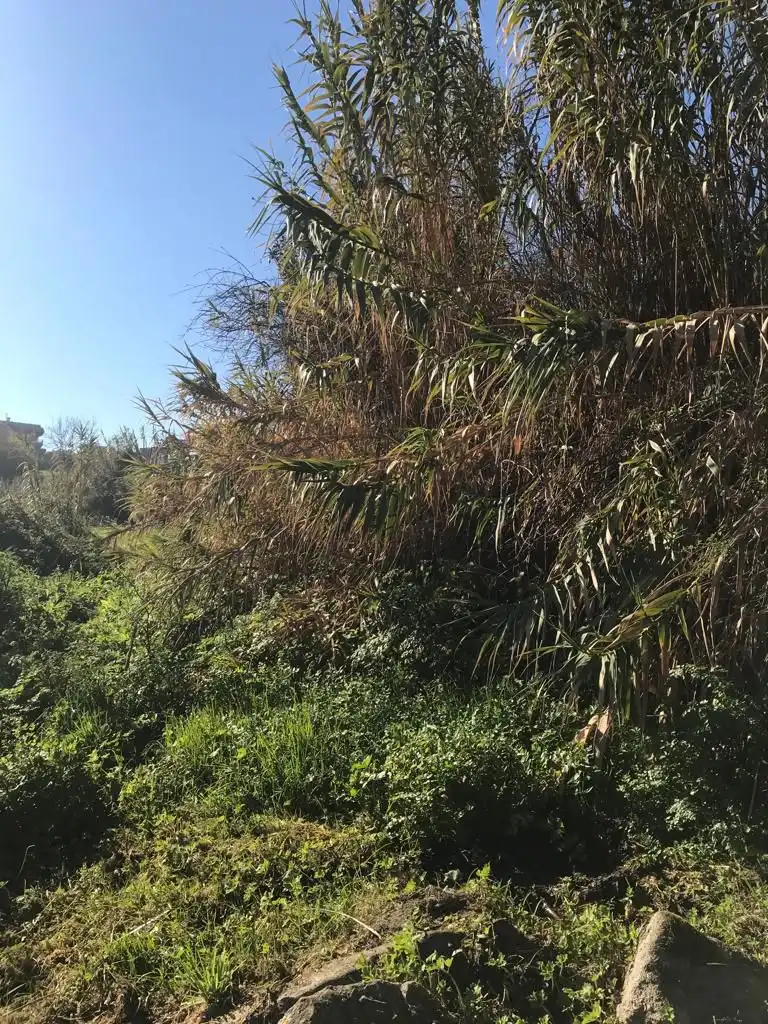 Finca rústica en venta en Vigo 