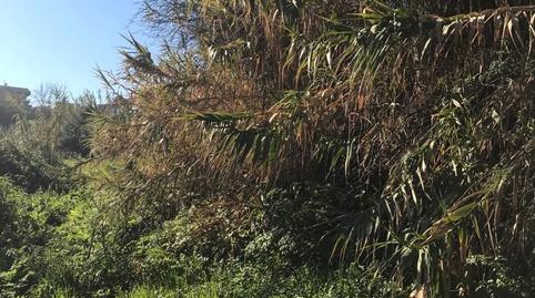 Foto 4 de Finca rústica en venda a Valadares - Beade, Pontevedra