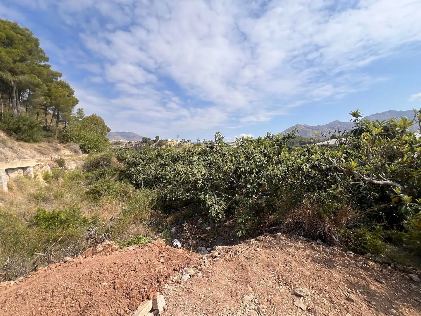Terrain rustique à vendre à pesauro, imagen 5