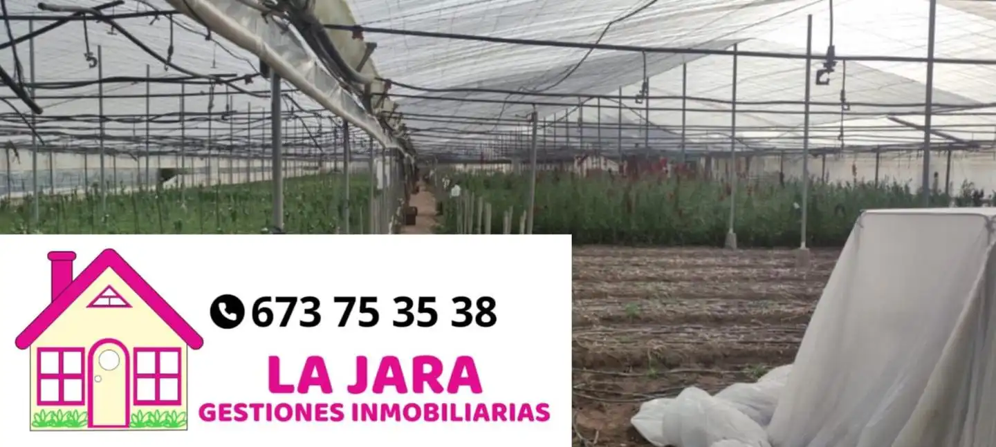 Terreni e lotti in vendita a De Jerez
