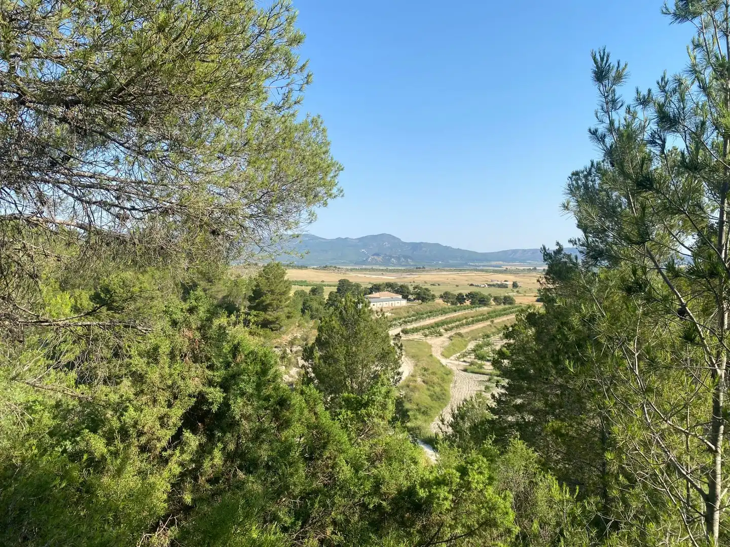 Villa à vendre à Moratalla, imagen 93