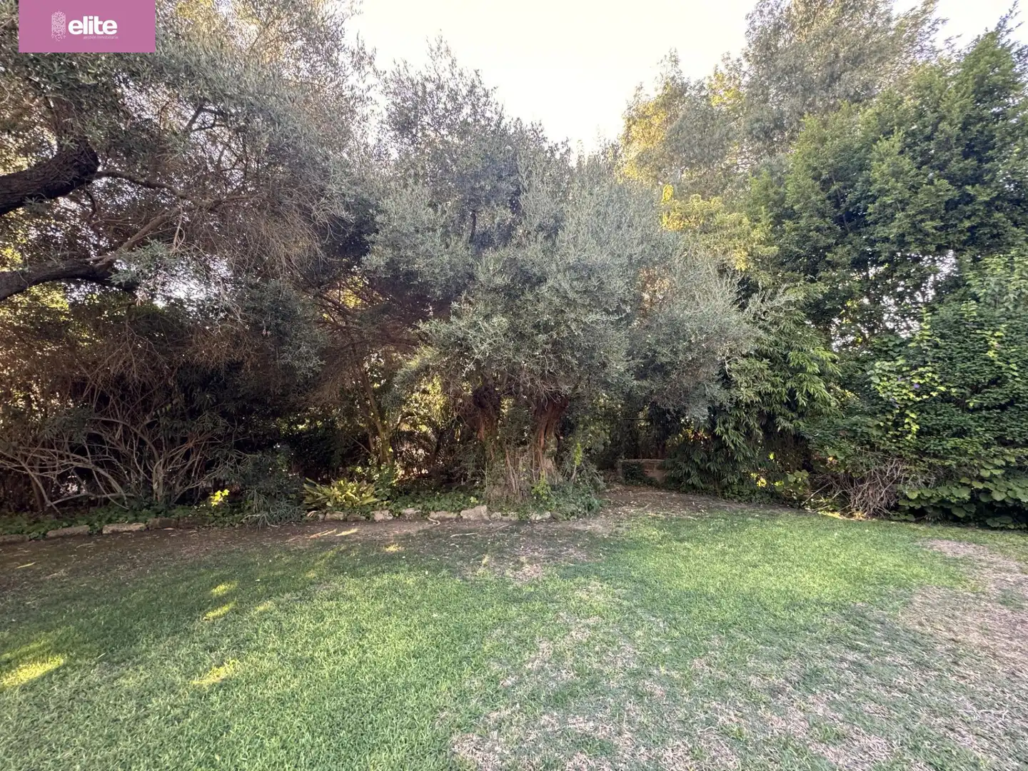 Detached house for sale in Avenida - Divina Pastora - Plaza de Toros, imagen 6