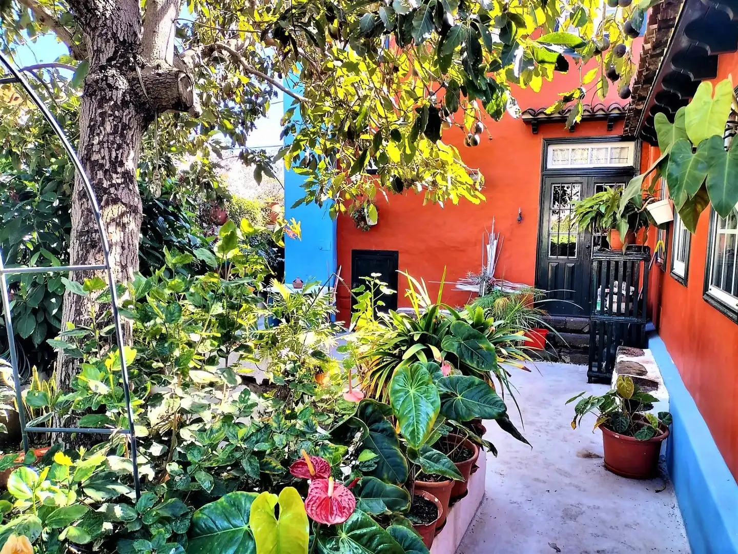 Jardín de Casa o chalet en venta en Los Realejos con Jardín privado y Trastero