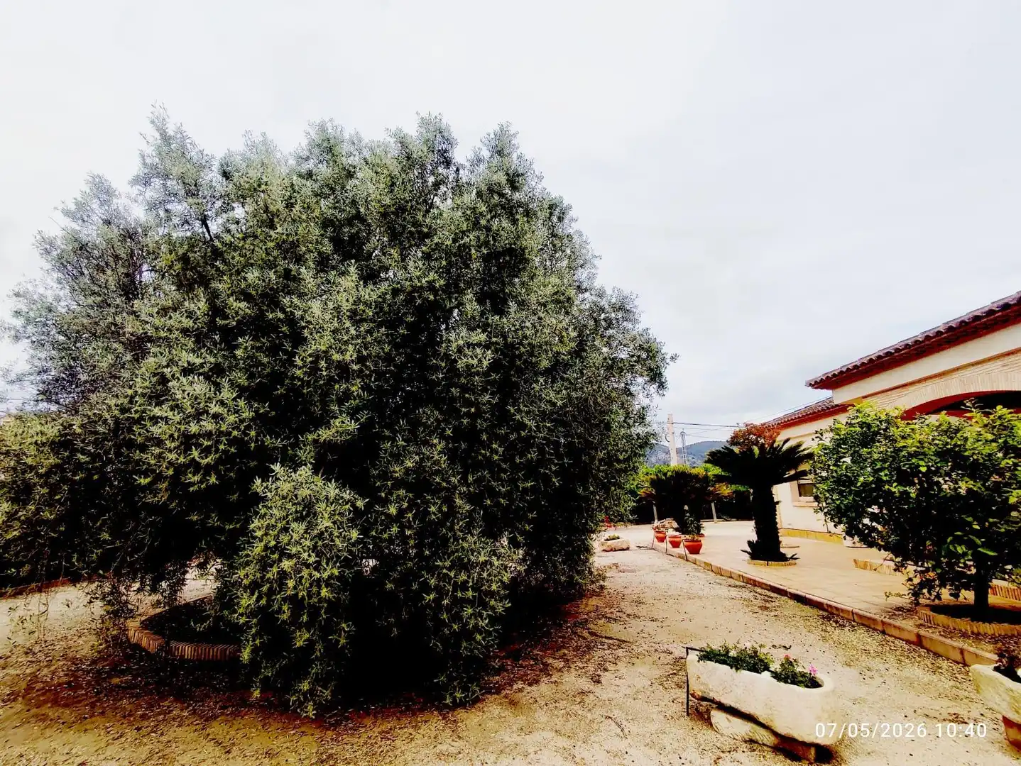 Detached house with terrace for sale in Castalla, imagen 37