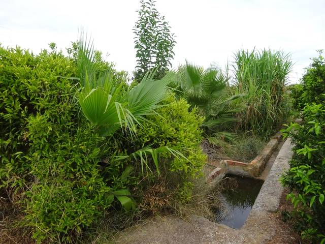 Terreno en Venta en Les Boqueres - Santa Quiteria
