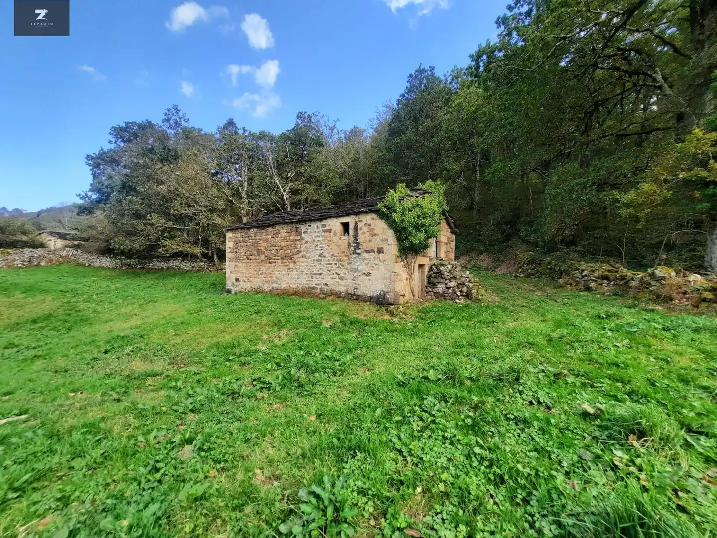 Casa con jardín en venta en San Pedro del Romeral, imagen 2