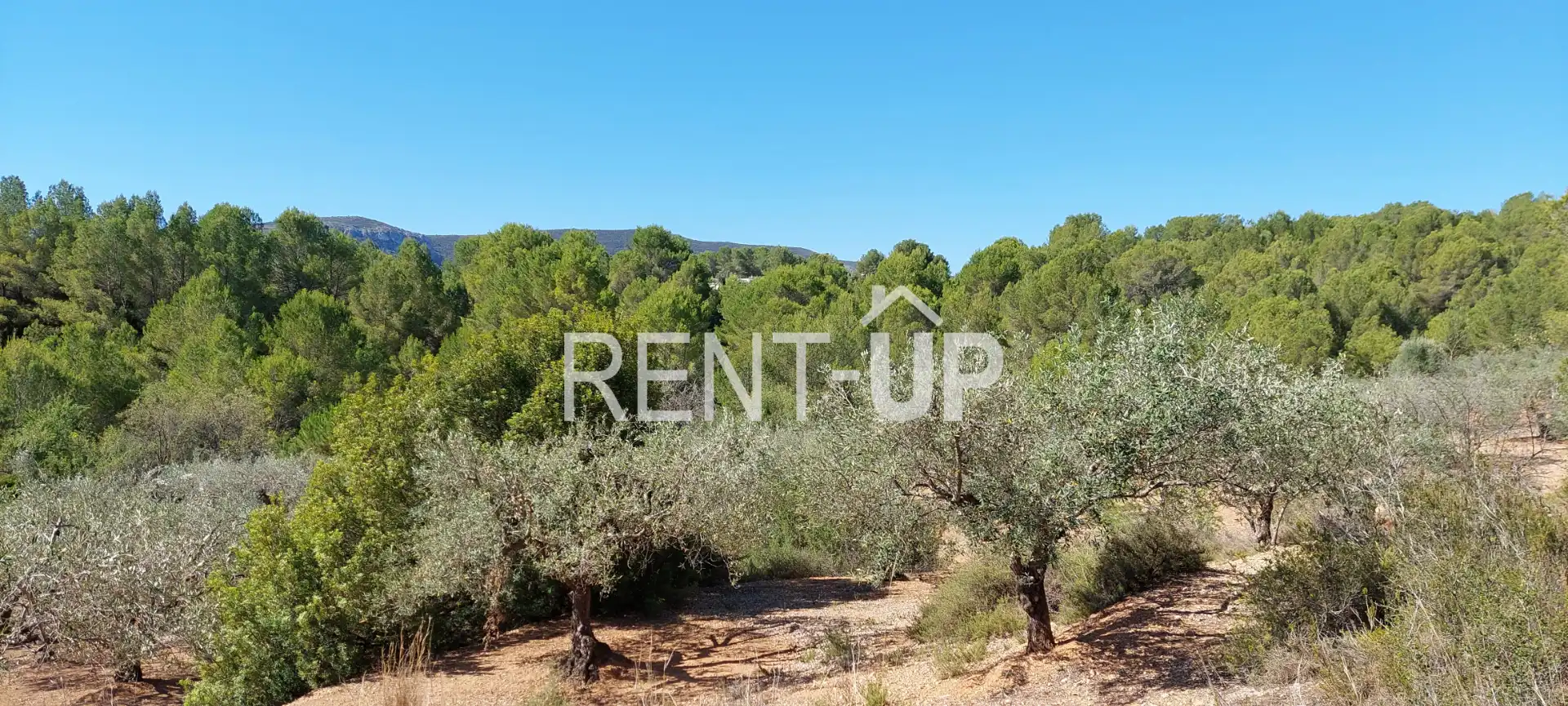 Terreny rústic en venda a Xàtiva, imagen 8