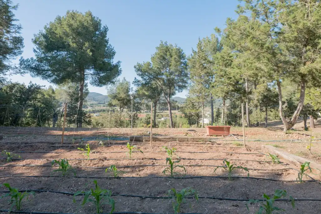 Xalet amb piscina en venda a Sant Antoni de Portmany, imagen 37