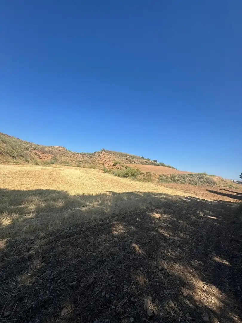 Terreny rústic en venda a Los Santos de la Humosa, imagen 4