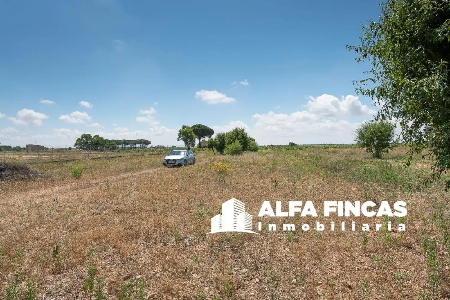 Casa o chalet en venta en Parcela 171 Poligono 33, San Clemente