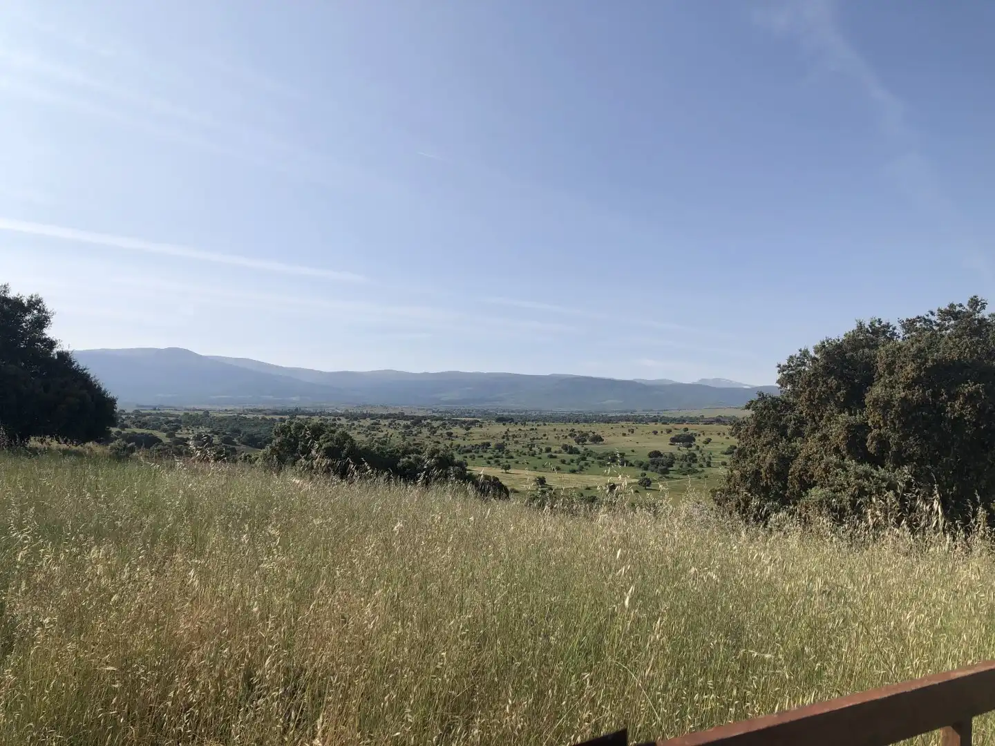 Terreni e lotti in vendita a Pelayos del Arroyo, imagen 2