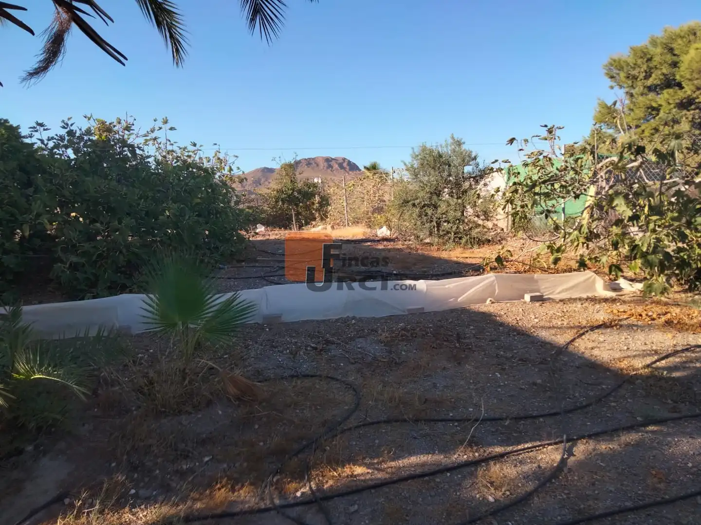 Casa o chalet en venta en Tébar - Los Arejos