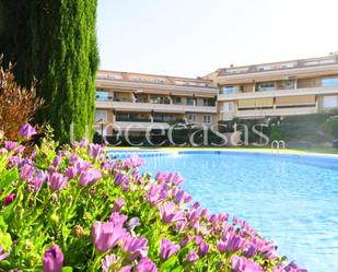 Jardí de Àtic en venda en Bétera amb Calefacció, Parquet i Terrassa