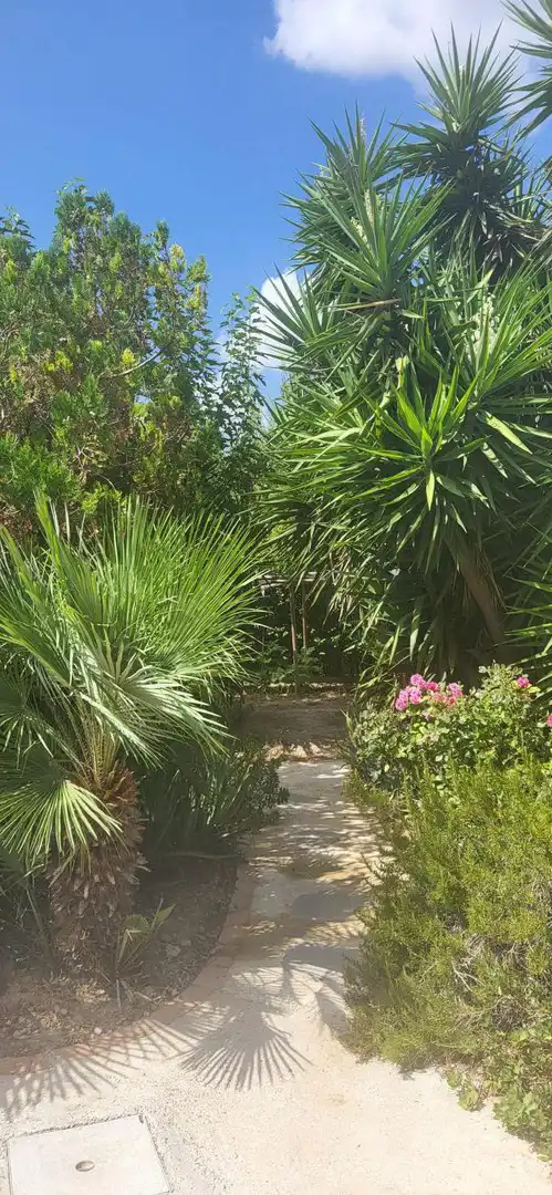 Jardín de Casa o chalet en venta en Roquetes con Aire acondicionado, Calefacción y Jardín privado