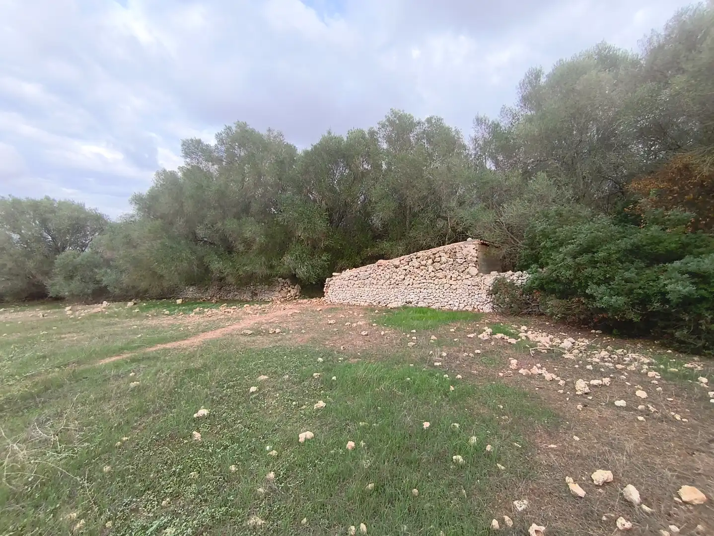 Rural land for sale in Ariany, imagen 2