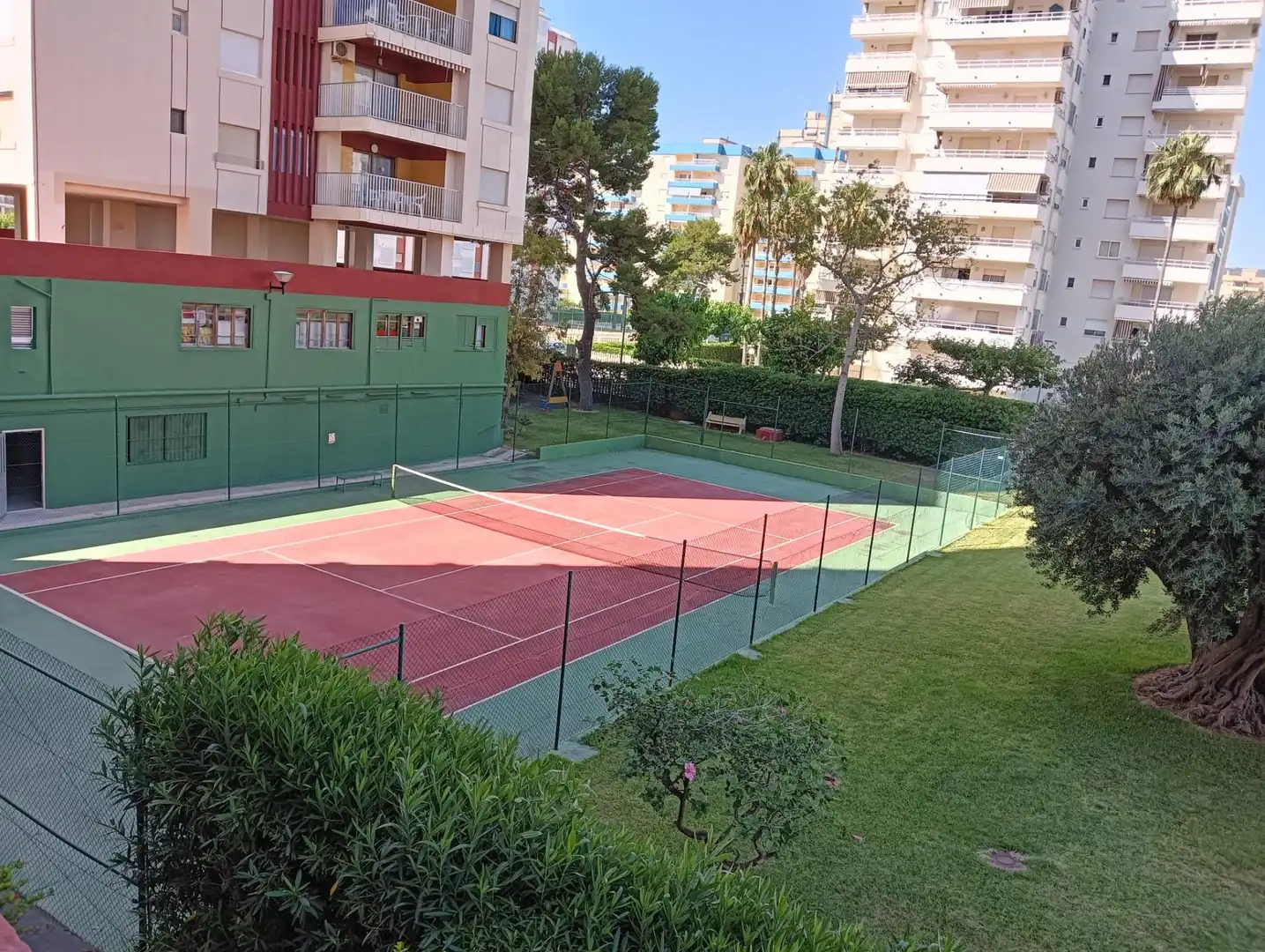 Mini appartamento con piscina in affitto a Playa de Gandia, imagen 10