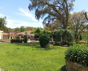 Premises for sale in Vial Camino, Sant Feliu de Buixalleu