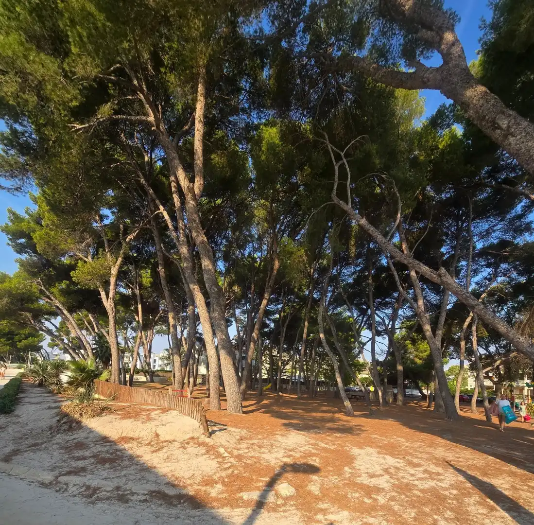 Vista exterior de Dúplex en venda en Alcúdia amb Aire condicionat, Calefacció i Jardí privat