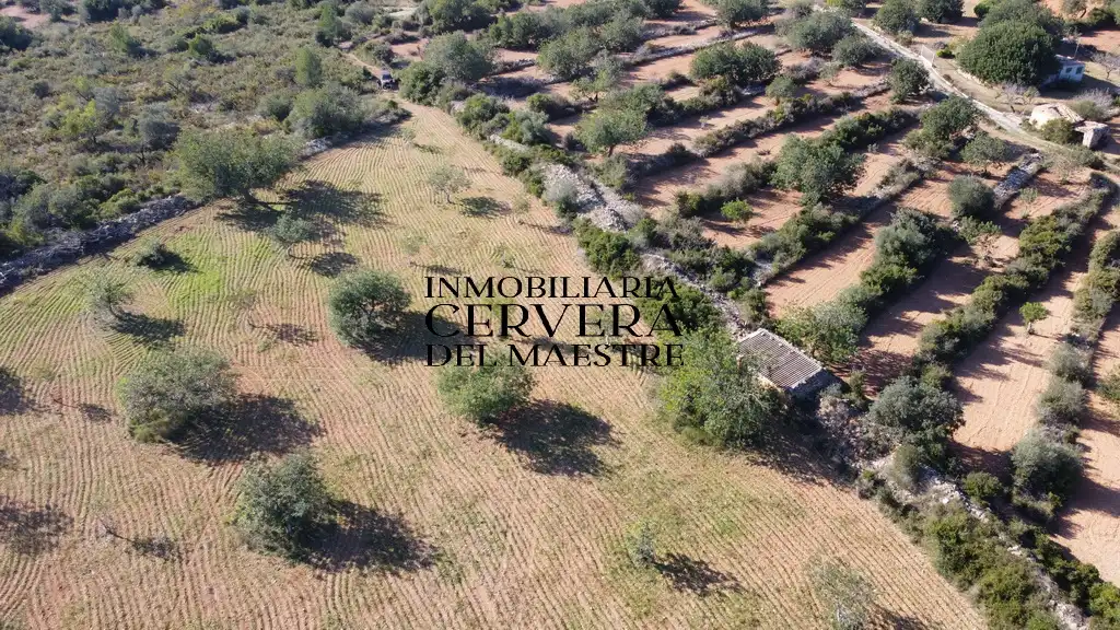Terreno rustico in vendita a Cervera del Maestre, imagen 17