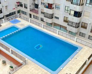 Swimming pool of Flat to rent in Alicante / Alacant  with Swimming Pool