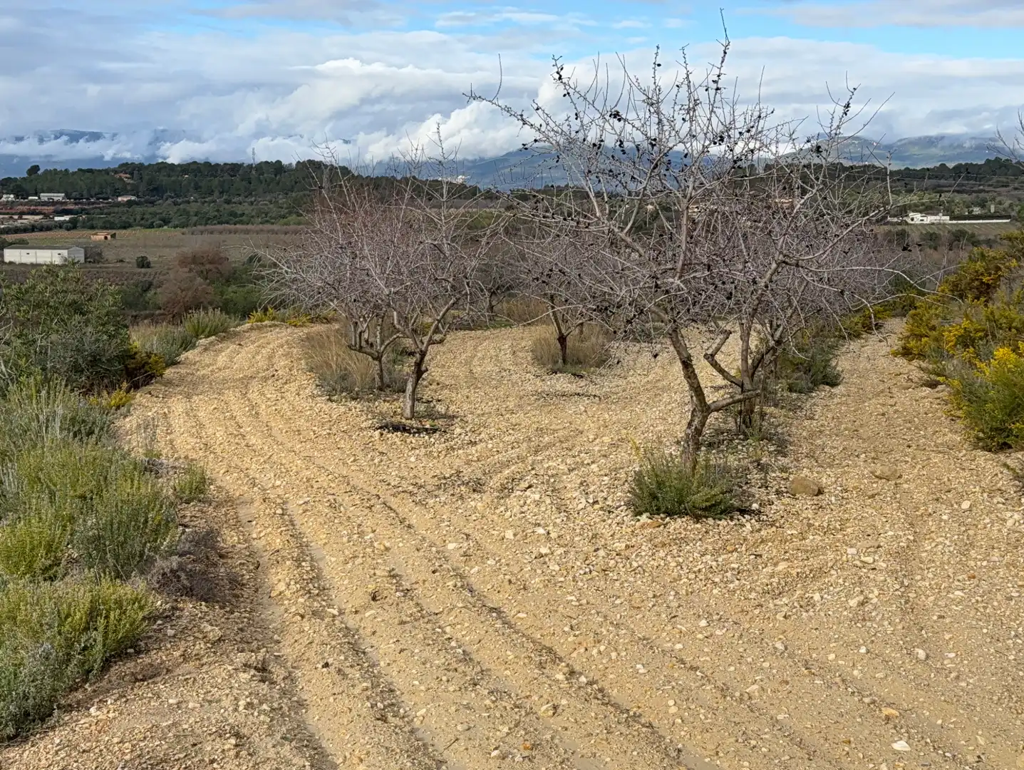 Terrain rustique à vendre à Cami Futbol 14A, imagen 12