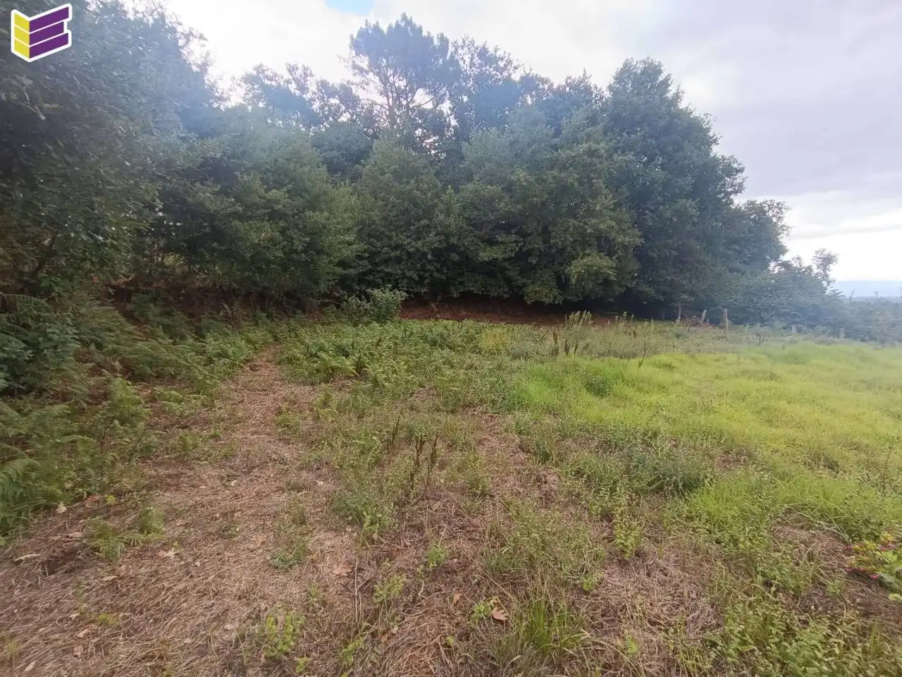 Terreno residencial en venta en Calle Ribadetea, imagen 9
