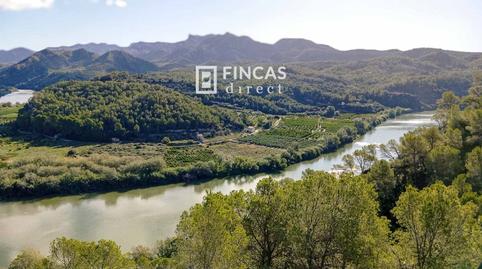Foto 4 de Finca rústica en venda a Xf2j+gcr, Benifallet, Tarragona