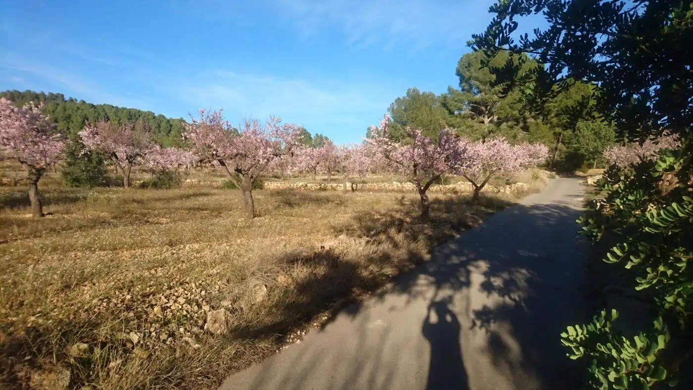 Maison à vendre à Vall d'Alba, imagen 9