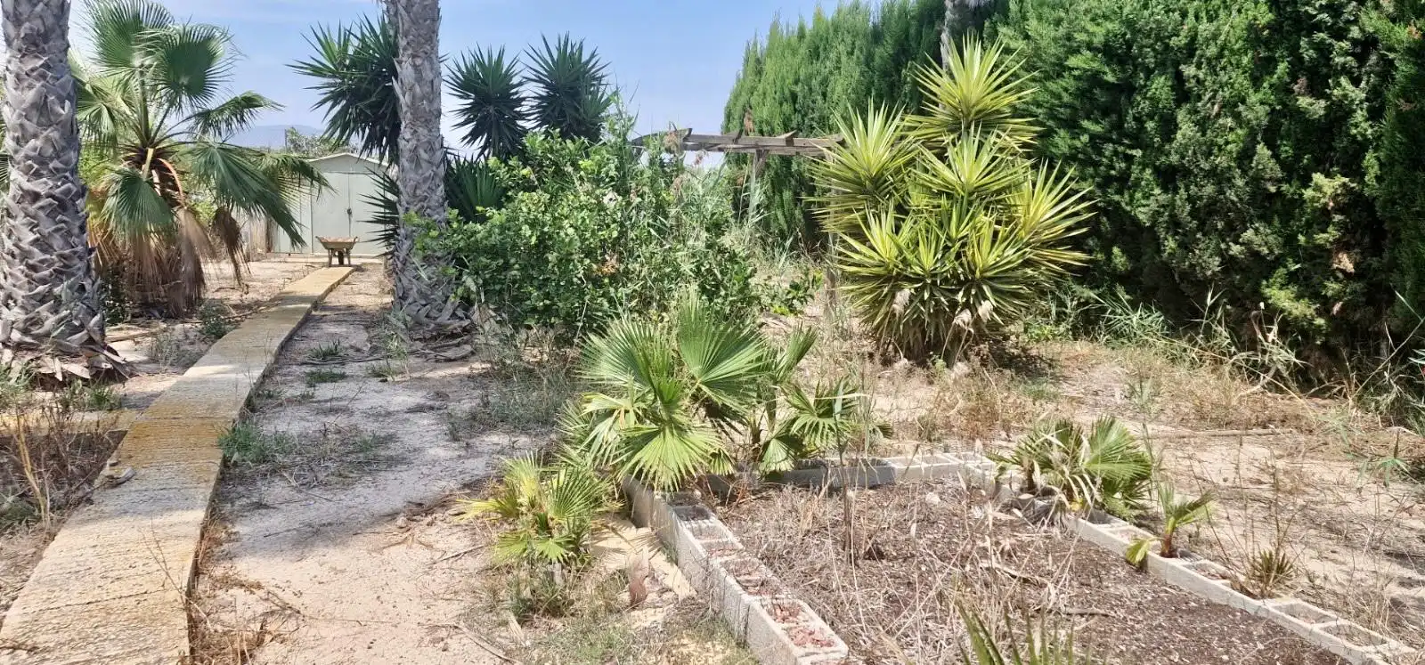 Houses for sale in Catral  with Private garden, Terrace and Swimming Pool