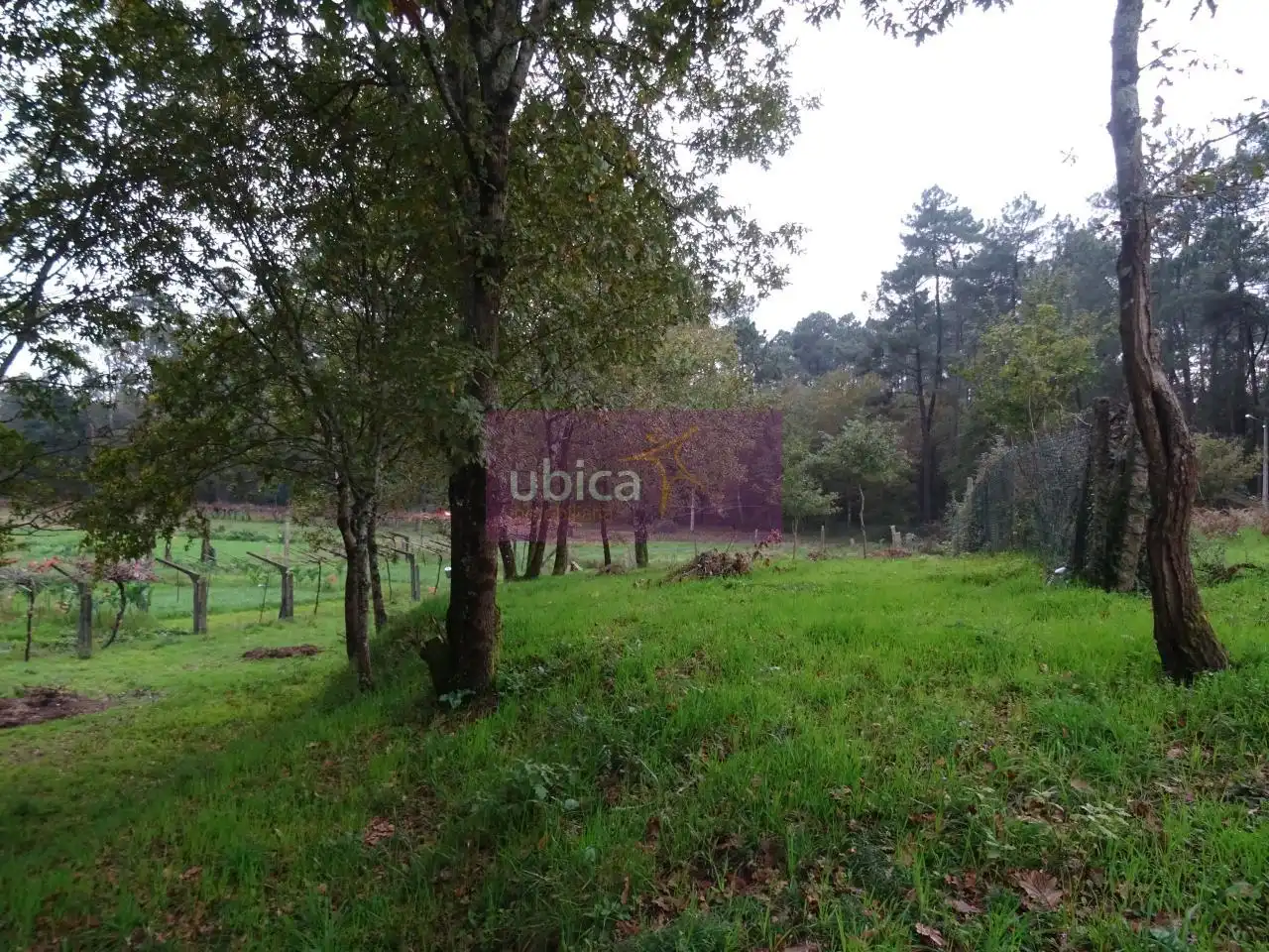 Terreny residencial en venda a Mos, imagen 12
