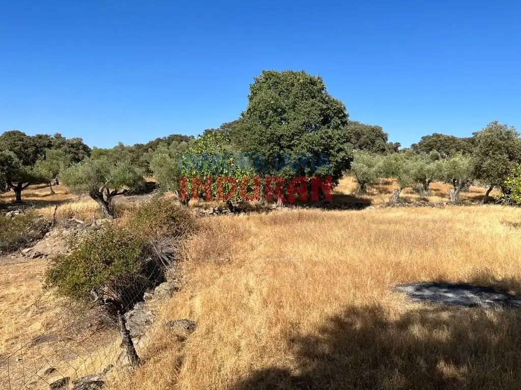 Casa rústica en venda a Belvís de Monroy, imagen 7