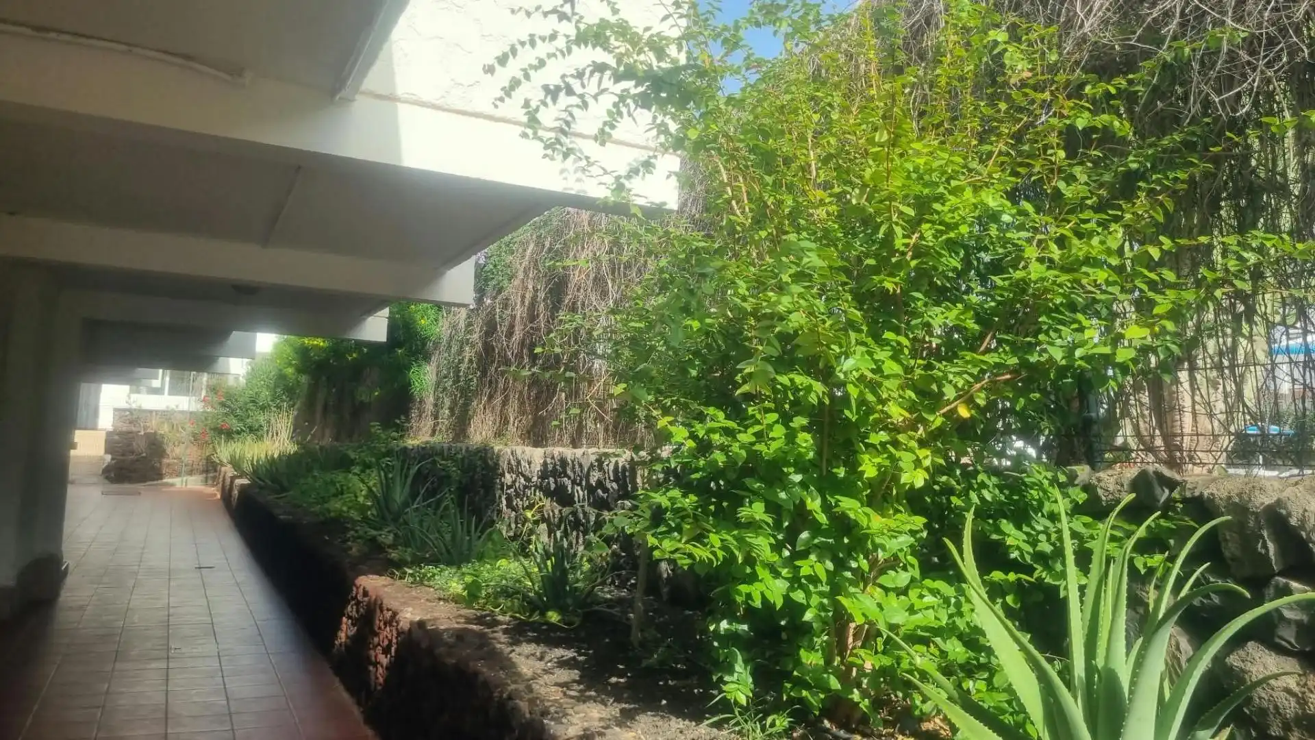 Study for sale in Arona, Santa Cruz de Tenerife