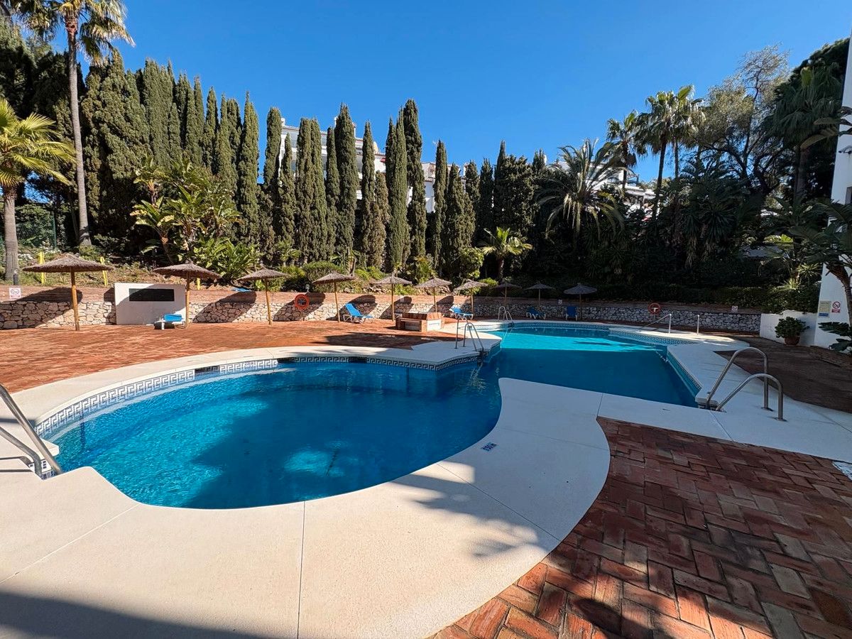 Swimming pool of Apartments for sale in Marbella  with Air Conditioner, Terrace and Furnished