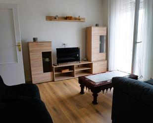 Living room of Flat to share in Ávila Capital  with Terrace